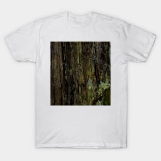 Wood Rot T-Shirt